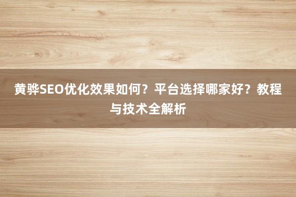 黄骅SEO优化效果如何？平台选择哪家好？教程与技术全解析