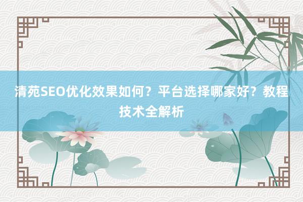 清苑SEO优化效果如何？平台选择哪家好？教程技术全解析
