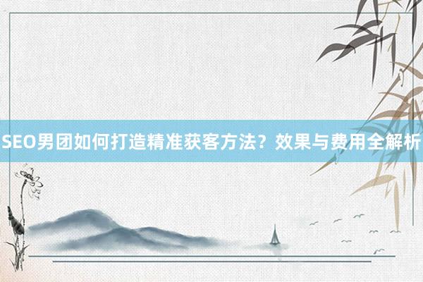 SEO男团如何打造精准获客方法？效果与费用全解析