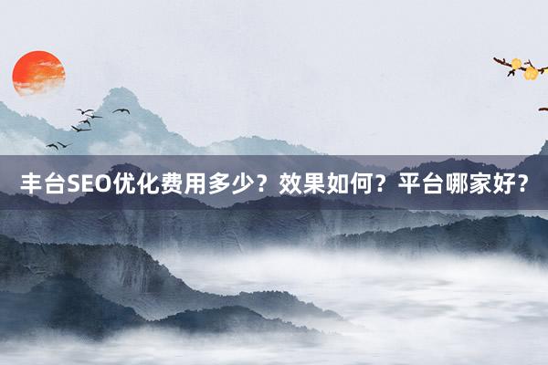 丰台SEO优化费用多少？效果如何？平台哪家好？