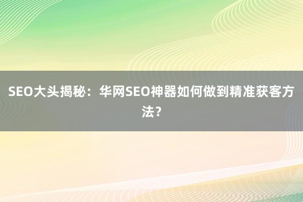 SEO大头揭秘：华网SEO神器如何做到精准获客方法？