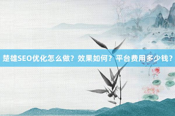 楚雄SEO优化怎么做？效果如何？平台费用多少钱？