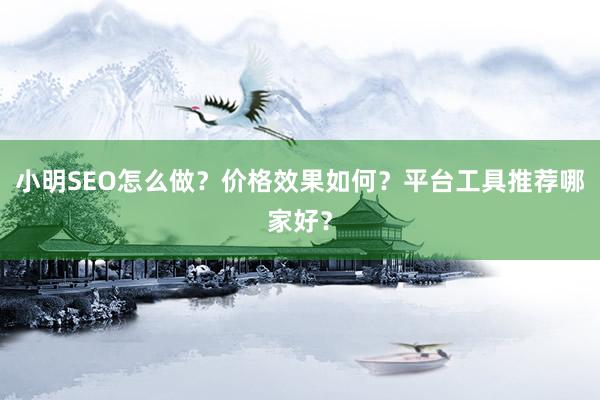 小明SEO怎么做？价格效果如何？平台工具推荐哪家好？