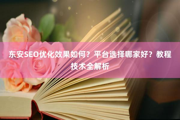 东安SEO优化效果如何？平台选择哪家好？教程技术全解析