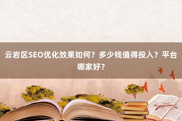 云岩区SEO优化效果如何？多少钱值得投入？平台哪家好？