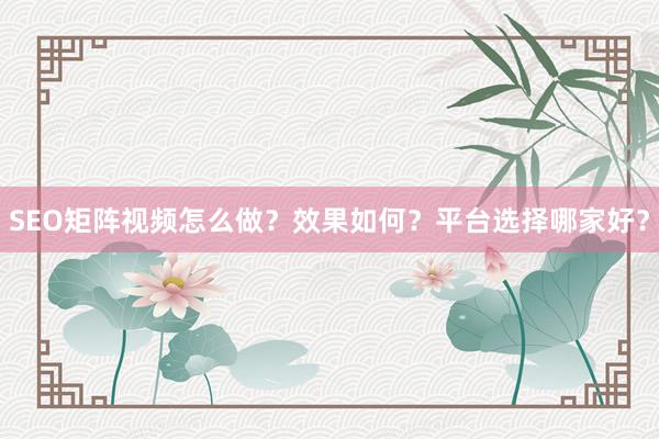 SEO矩阵视频怎么做？效果如何？平台选择哪家好？