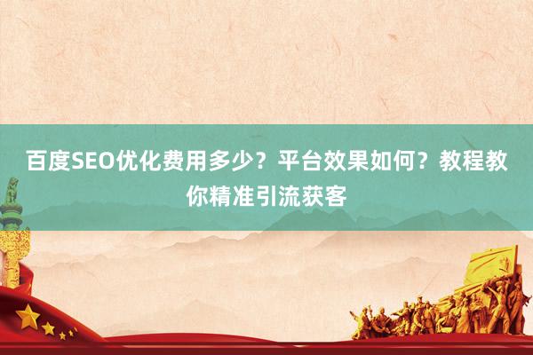 百度SEO优化费用多少？平台效果如何？教程教你精准引流获客