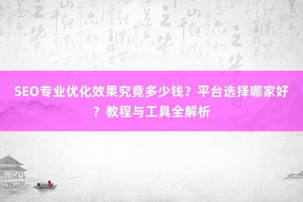SEO专业优化效果究竟多少钱？平台选择哪家好？教程与工具全解析