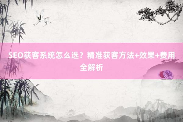 SEO获客系统怎么选？精准获客方法+效果+费用全解析