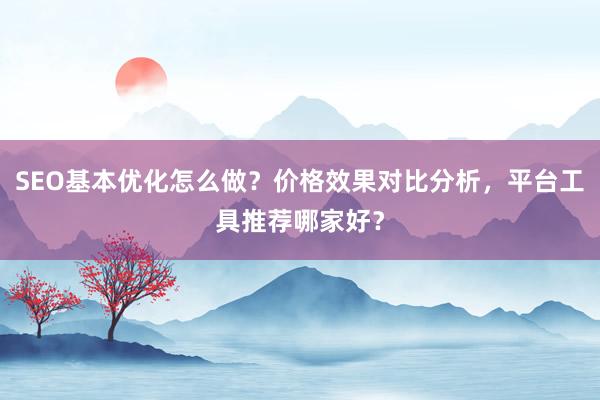 SEO基本优化怎么做？价格效果对比分析，平台工具推荐哪家好？