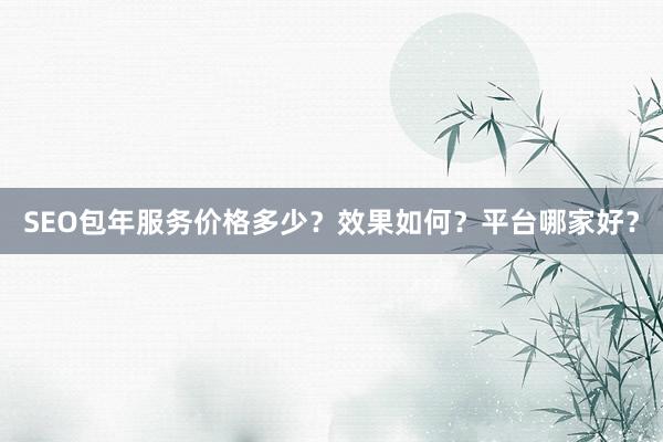 SEO包年服务价格多少？效果如何？平台哪家好？