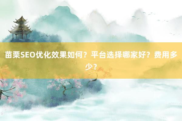 苗栗SEO优化效果如何？平台选择哪家好？费用多少？