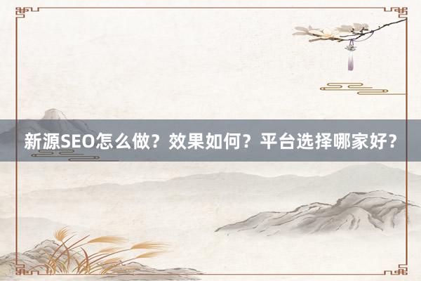 新源SEO怎么做？效果如何？平台选择哪家好？