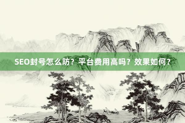 SEO封号怎么防？平台费用高吗？效果如何？