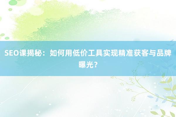 SEO课揭秘：如何用低价工具实现精准获客与品牌曝光？