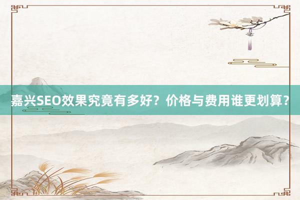 嘉兴SEO效果究竟有多好？价格与费用谁更划算？
