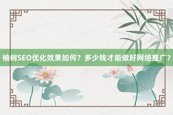 榆树SEO优化效果如何？多少钱才能做好网络推广？