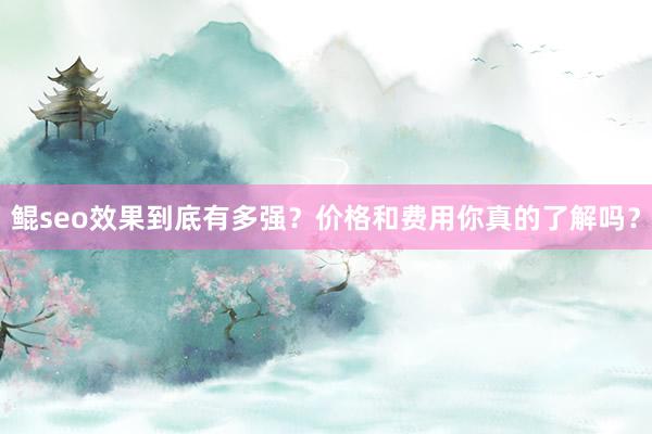 鲲seo效果到底有多强？价格和费用你真的了解吗？