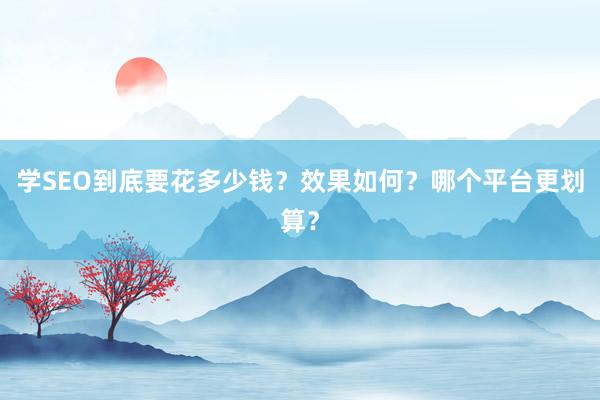 学SEO到底要花多少钱？效果如何？哪个平台更划算？