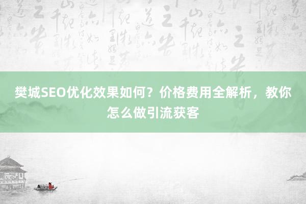 樊城SEO优化效果如何？价格费用全解析，教你怎么做引流获客