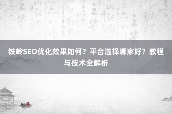 铁岭SEO优化效果如何？平台选择哪家好？教程与技术全解析
