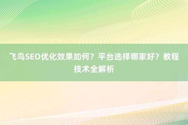 飞鸟SEO优化效果如何？平台选择哪家好？教程技术全解析