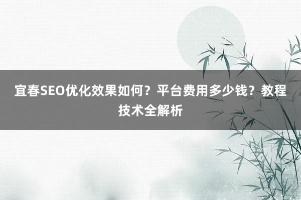 宜春SEO优化效果如何？平台费用多少钱？教程技术全解析