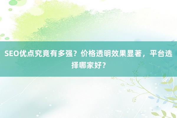 SEO优点究竟有多强？价格透明效果显著，平台选择哪家好？