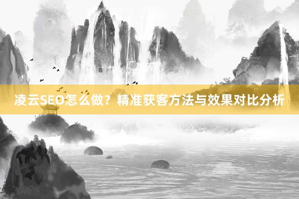 凌云SEO怎么做？精准获客方法与效果对比分析