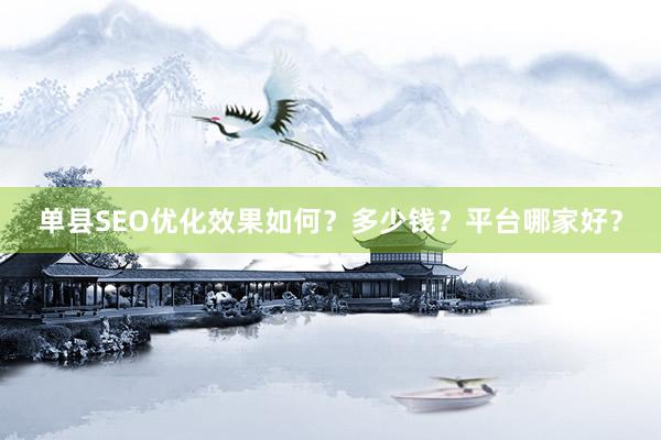 单县SEO优化效果如何？多少钱？平台哪家好？