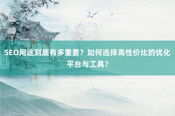 SEO用途到底有多重要？如何选择高性价比的优化平台与工具？