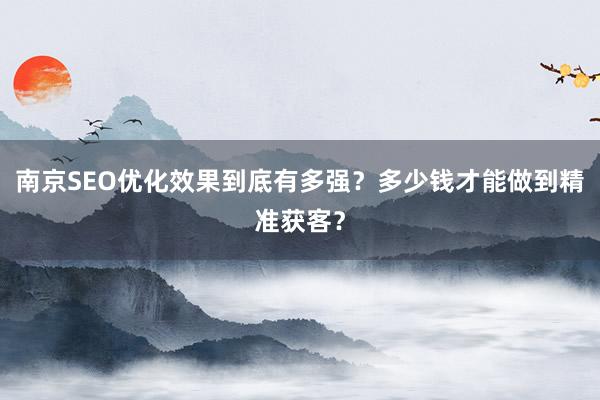 南京SEO优化效果到底有多强？多少钱才能做到精准获客？