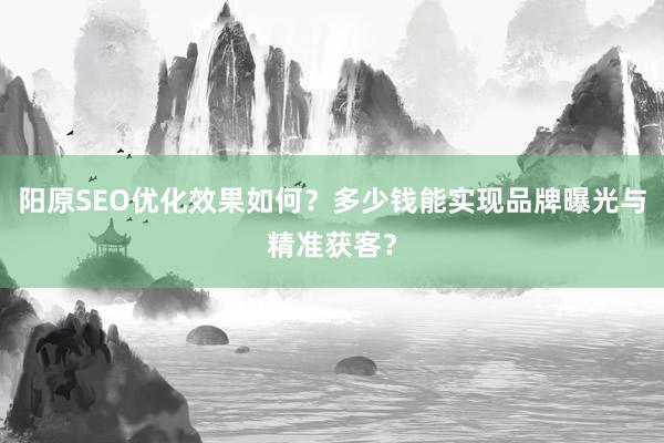 阳原SEO优化效果如何？多少钱能实现品牌曝光与精准获客？