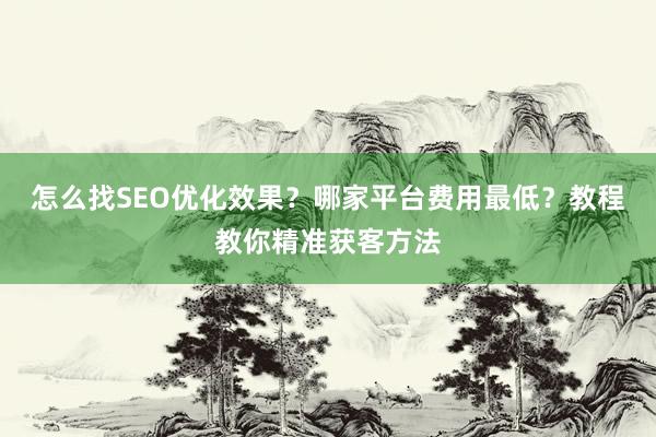 怎么找SEO优化效果？哪家平台费用最低？教程教你精准获客方法