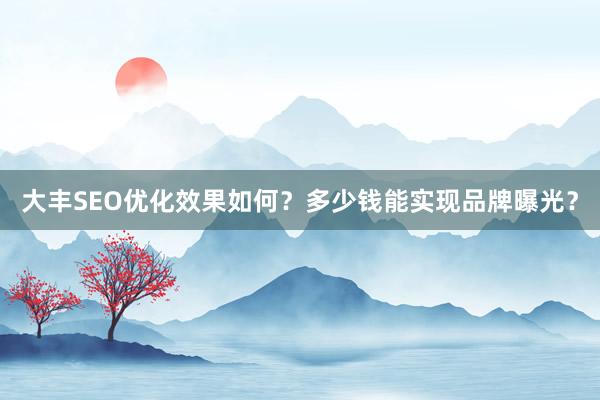 大丰SEO优化效果如何？多少钱能实现品牌曝光？