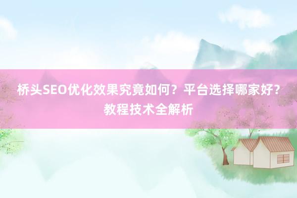 桥头SEO优化效果究竟如何？平台选择哪家好？教程技术全解析
