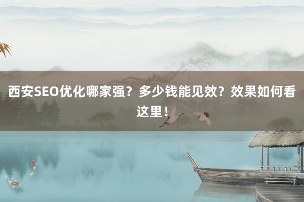 西安SEO优化哪家强？多少钱能见效？效果如何看这里！