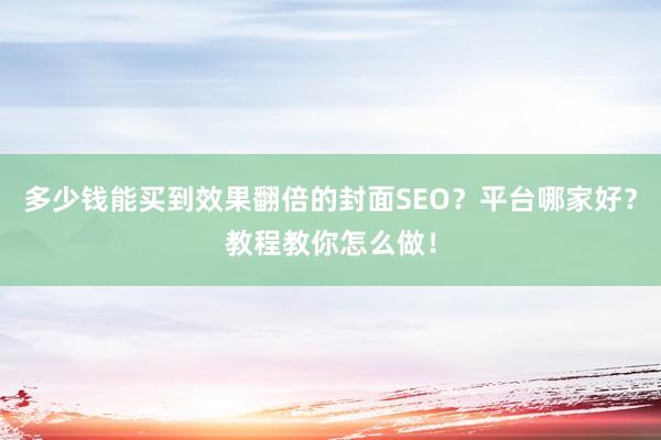 多少钱能买到效果翻倍的封面SEO？平台哪家好？教程教你怎么做！