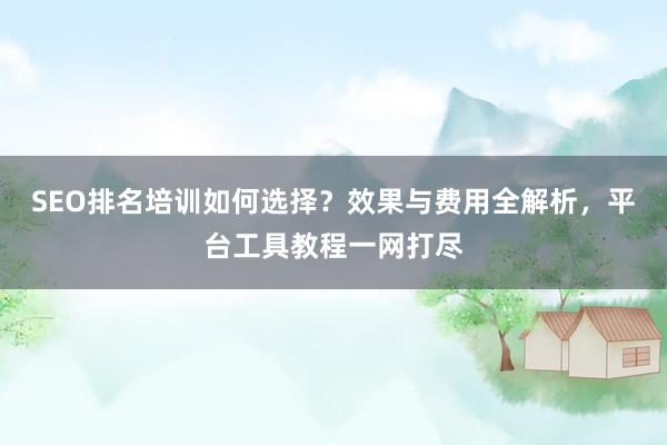 SEO排名培训如何选择？效果与费用全解析，平台工具教程一网打尽