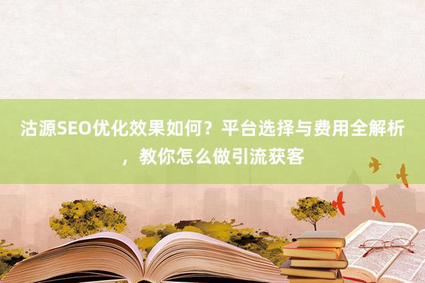 沽源SEO优化效果如何？平台选择与费用全解析，教你怎么做引流获客