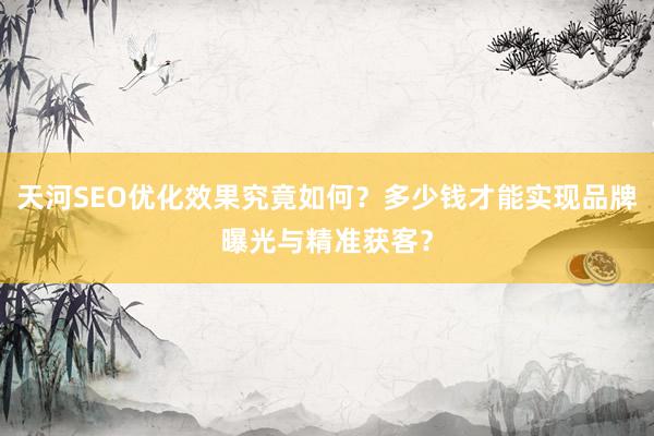 天河SEO优化效果究竟如何？多少钱才能实现品牌曝光与精准获客？