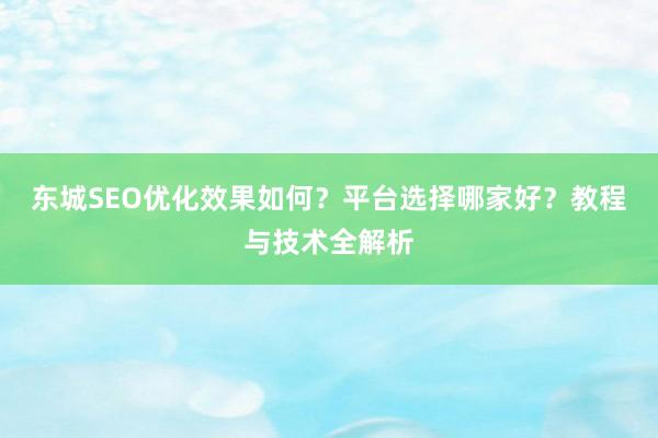 东城SEO优化效果如何？平台选择哪家好？教程与技术全解析