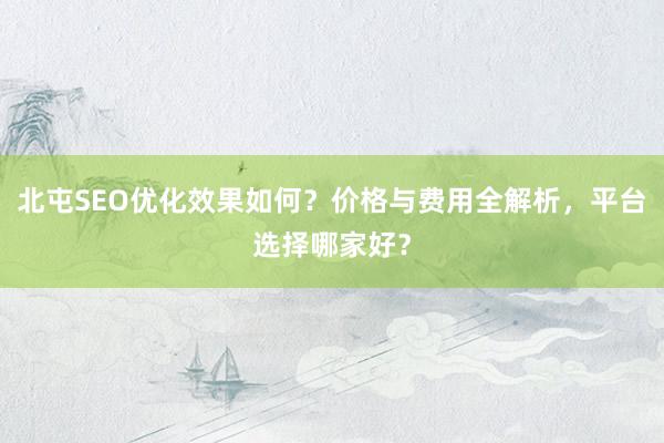 北屯SEO优化效果如何？价格与费用全解析，平台选择哪家好？