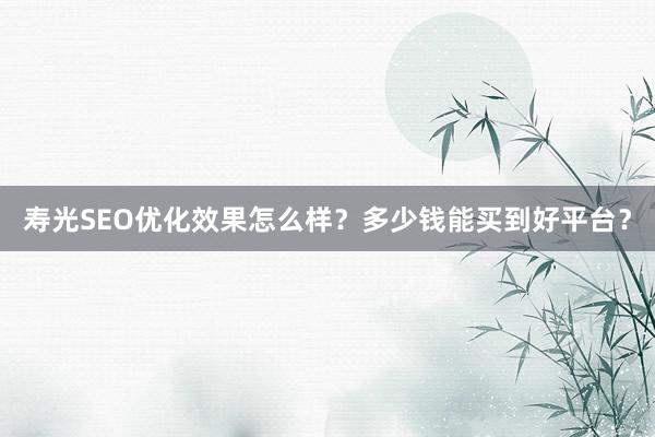 寿光SEO优化效果怎么样？多少钱能买到好平台？