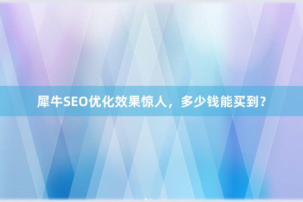 犀牛SEO优化效果惊人，多少钱能买到？