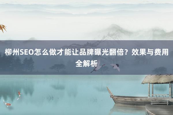 柳州SEO怎么做才能让品牌曝光翻倍？效果与费用全解析