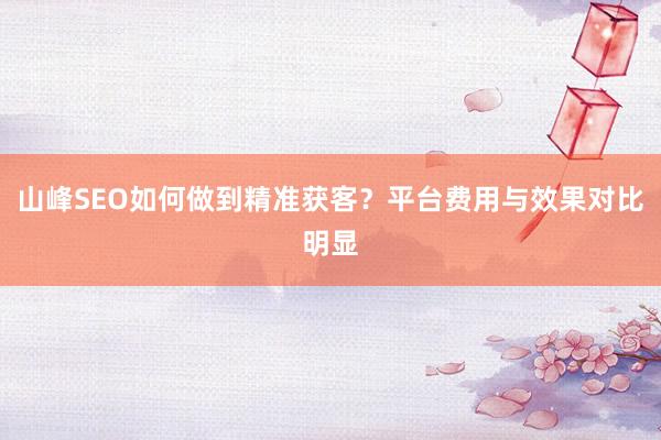 山峰SEO如何做到精准获客？平台费用与效果对比明显