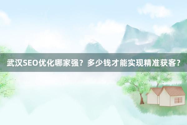 武汉SEO优化哪家强？多少钱才能实现精准获客？