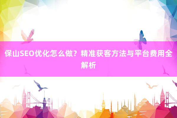 保山SEO优化怎么做？精准获客方法与平台费用全解析