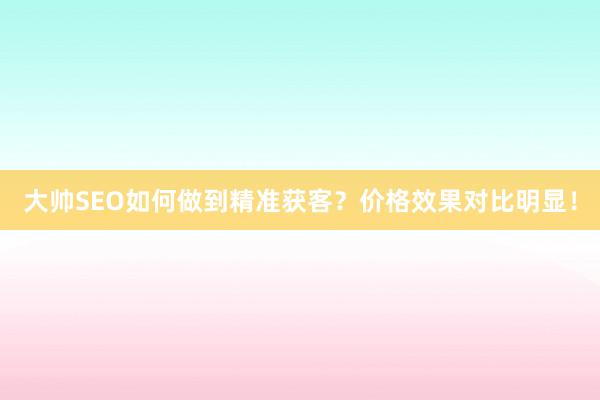 大帅SEO如何做到精准获客？价格效果对比明显！